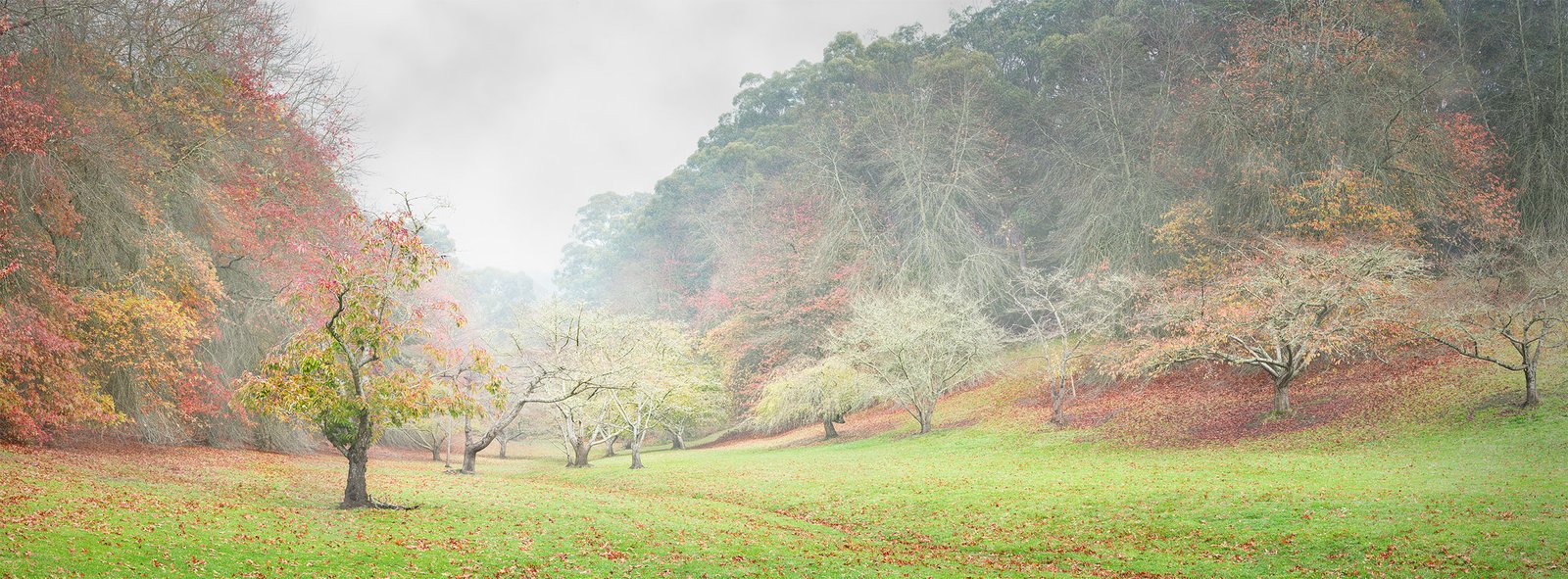 Late Mist