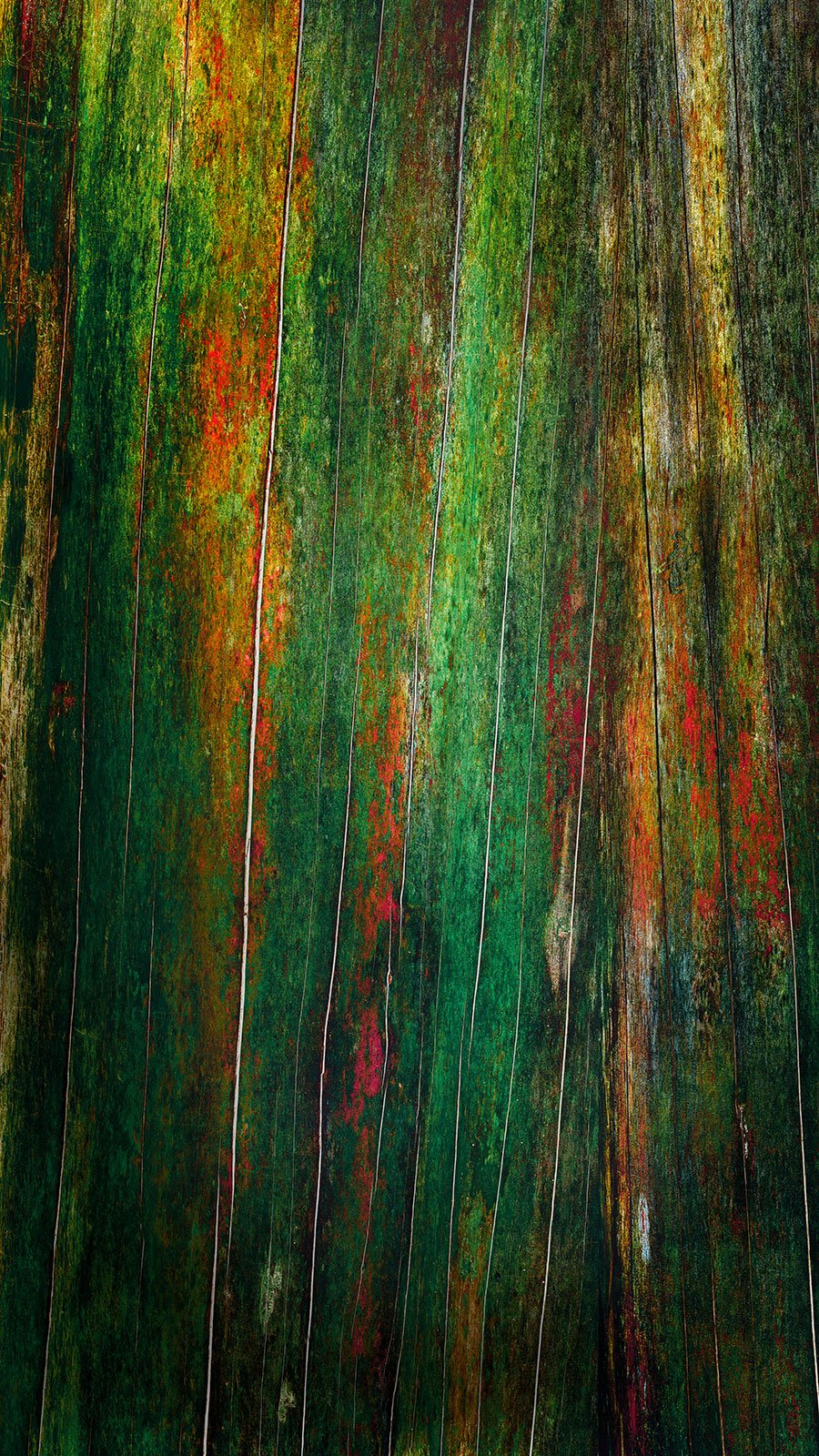 Natures Graffiti